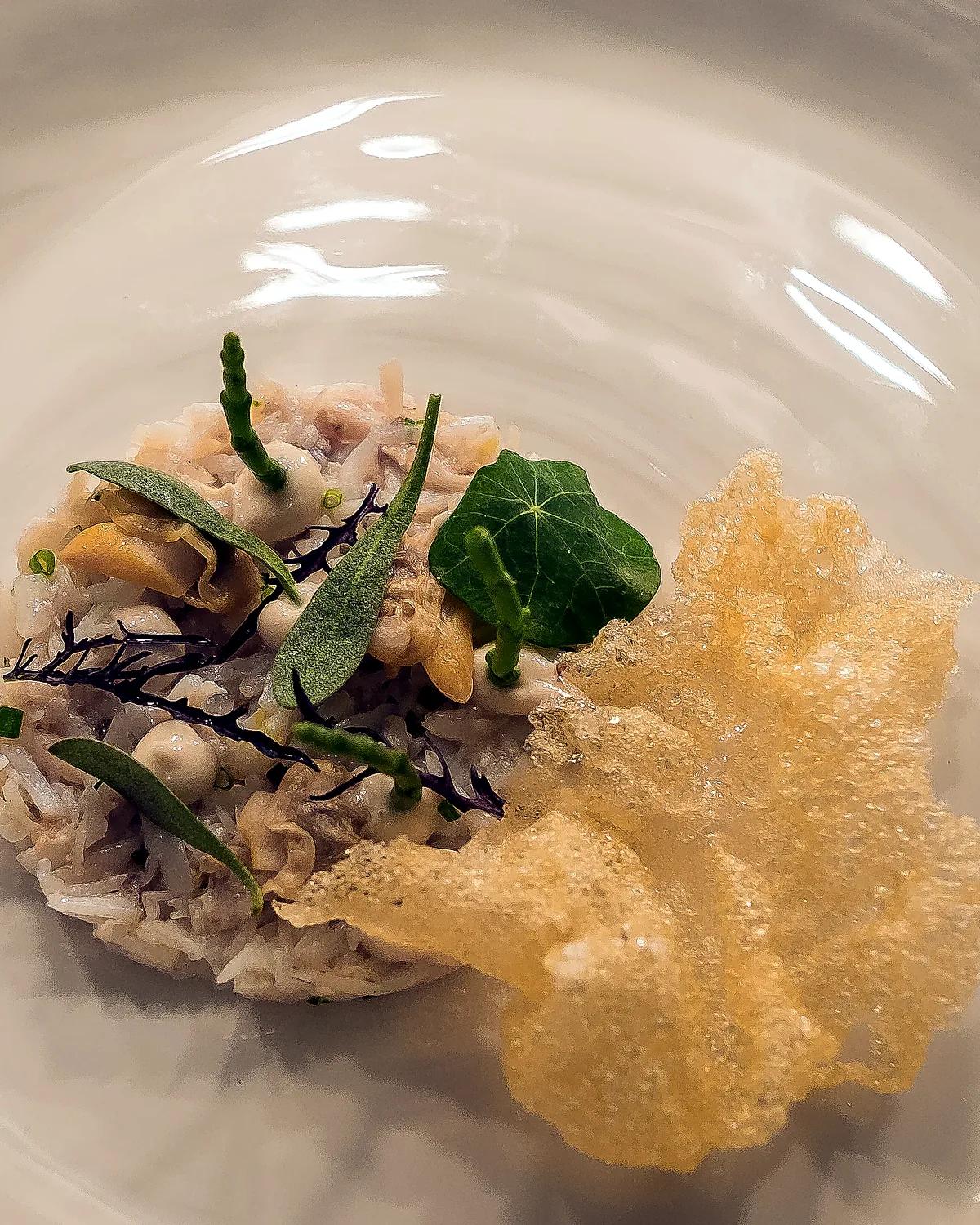 Shellfish and cracker